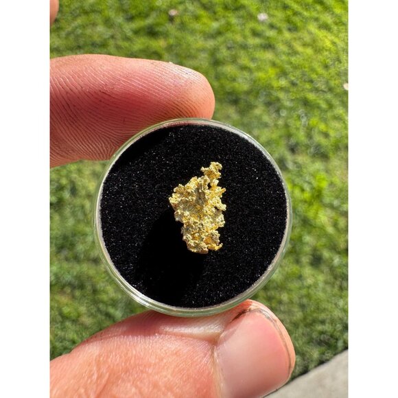 California Native Gold Crystal - 0.93 grams - Picture 2 of 5